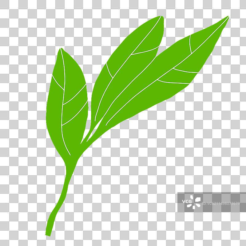 手绘绿色树叶涂鸦图片素材