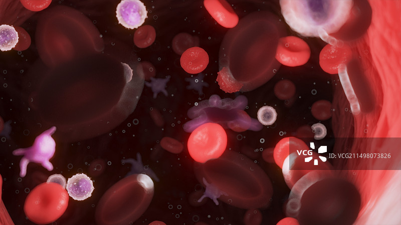 循环血细胞，图示图片素材