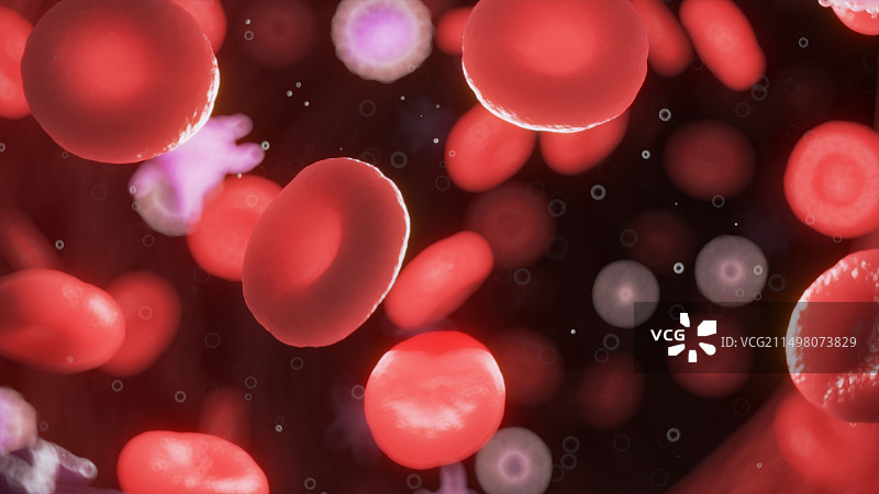 循环血细胞，图示图片素材