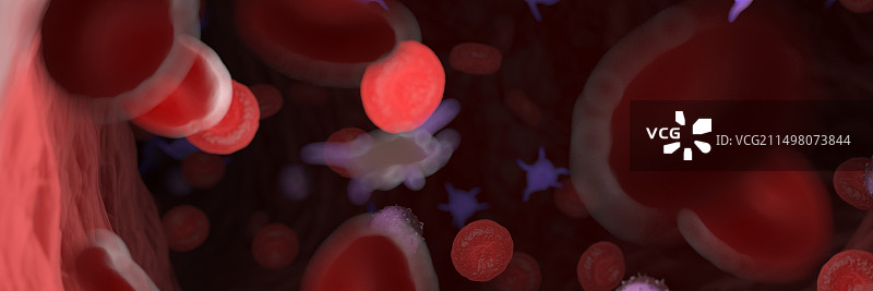 循环血细胞，图示图片素材