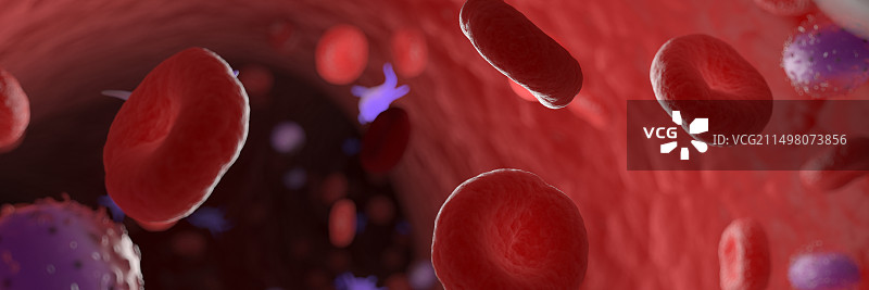 循环血细胞，图示图片素材