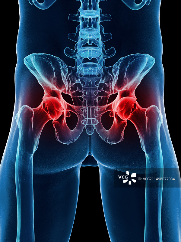 男性骨盆骨骼图图片素材