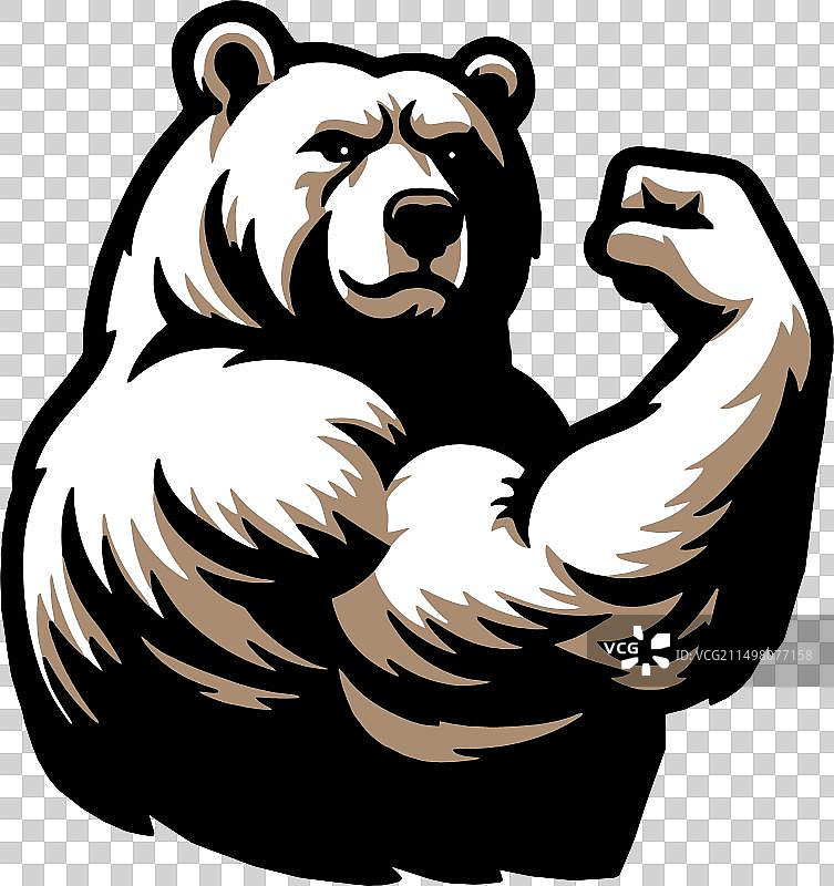 健壮的灰熊图片素材