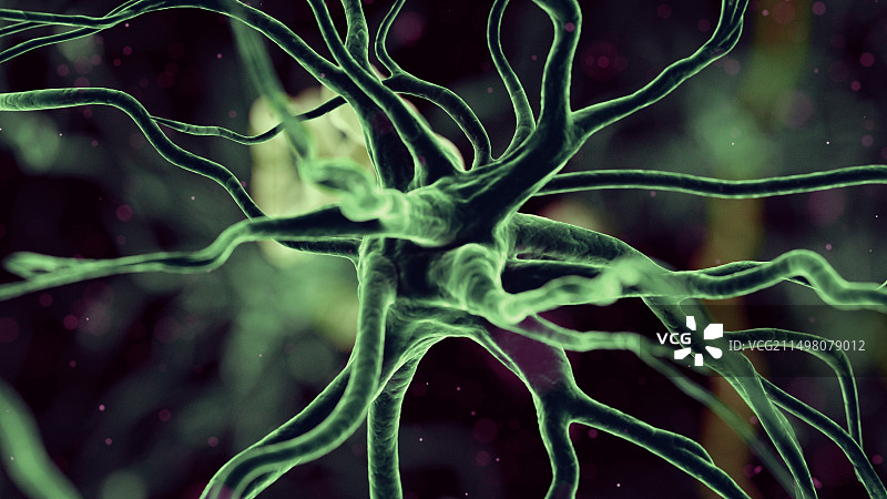 人类神经细胞，插图图片素材