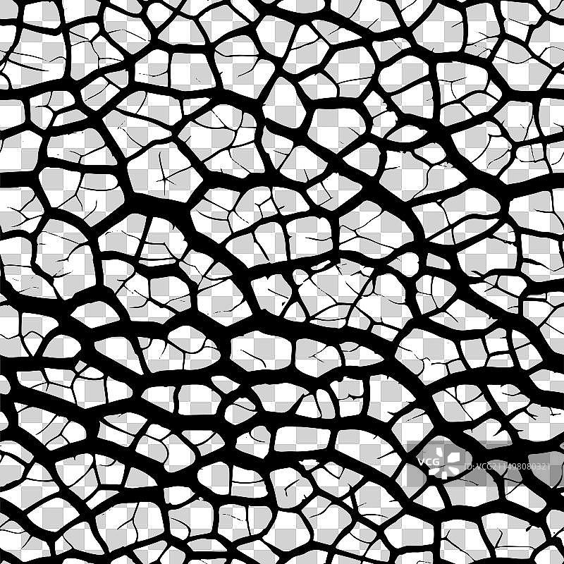 抽象龟裂沙漠大地纹理图案图片素材