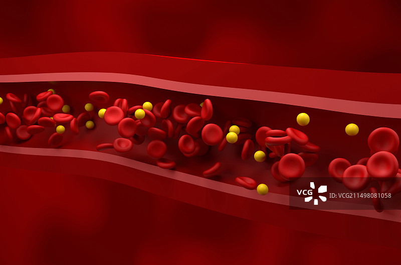 血液中正常胆固醇水平图片素材