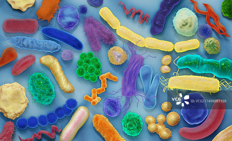 各种细菌，图示图片素材