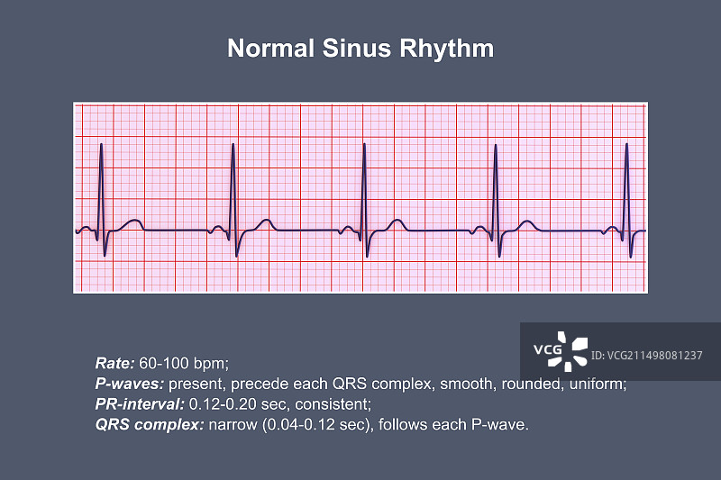 健康心跳节律插画图片素材