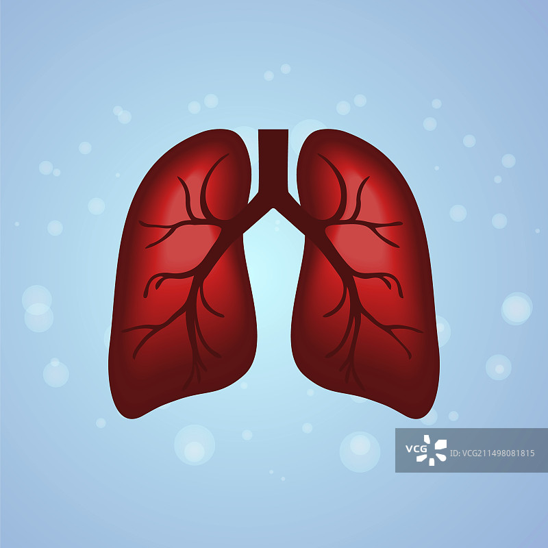 人类肺部概念图图片素材