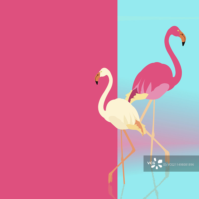火烈鸟概念插画图片素材
