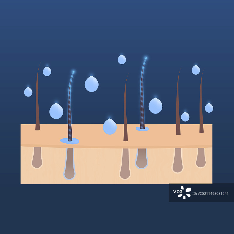 头发护理概念插画图片素材