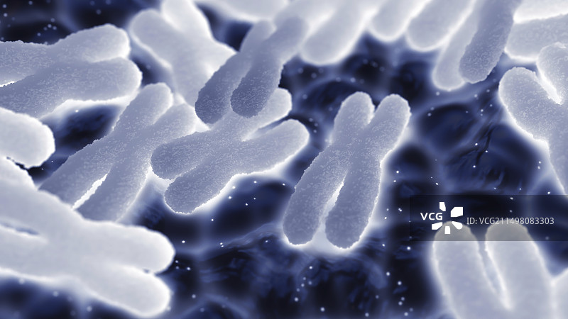 染色体插图图片素材