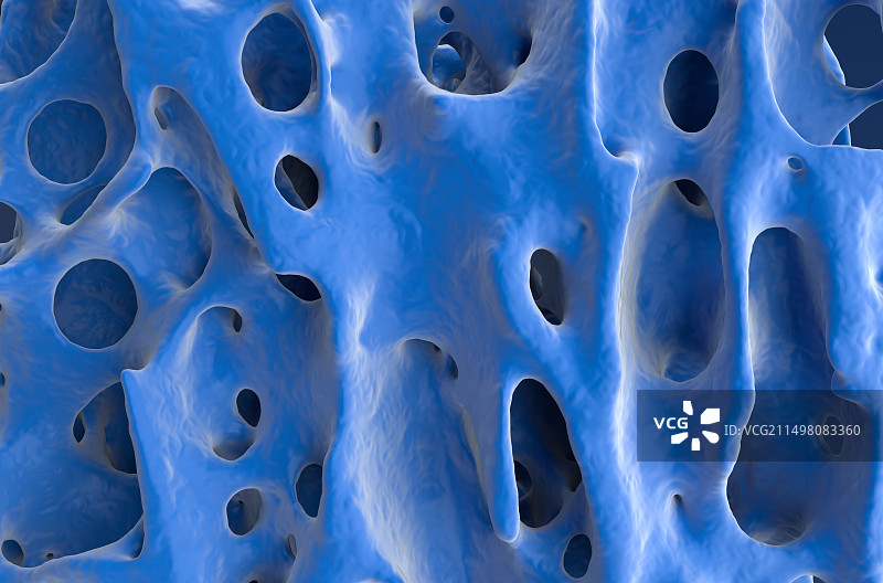 健康的骨骼组织插图图片素材