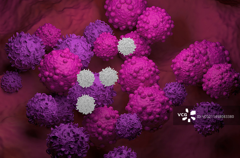 T细胞攻击癌细胞插图图片素材