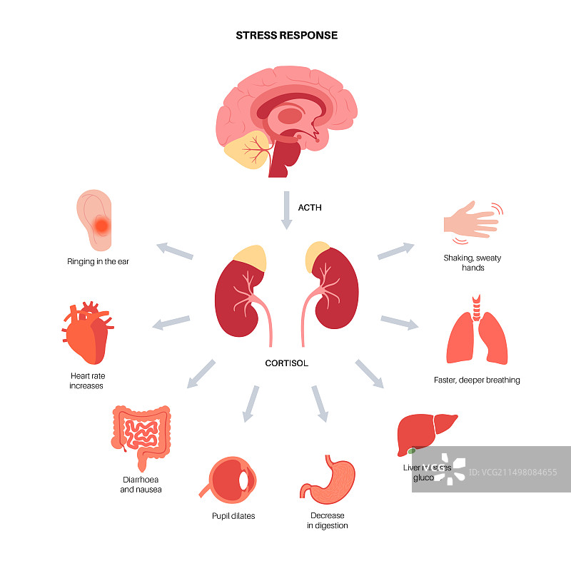 压力反应，图示图片素材
