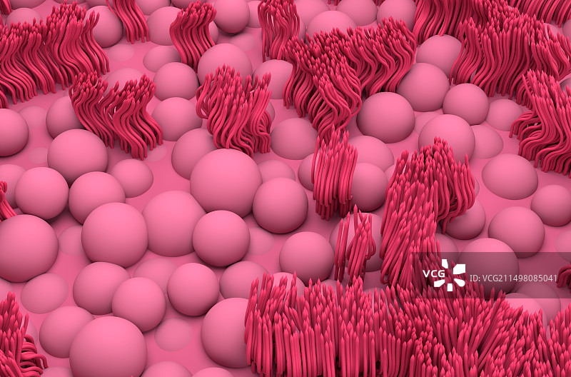 鼻腔内膜插图图片素材