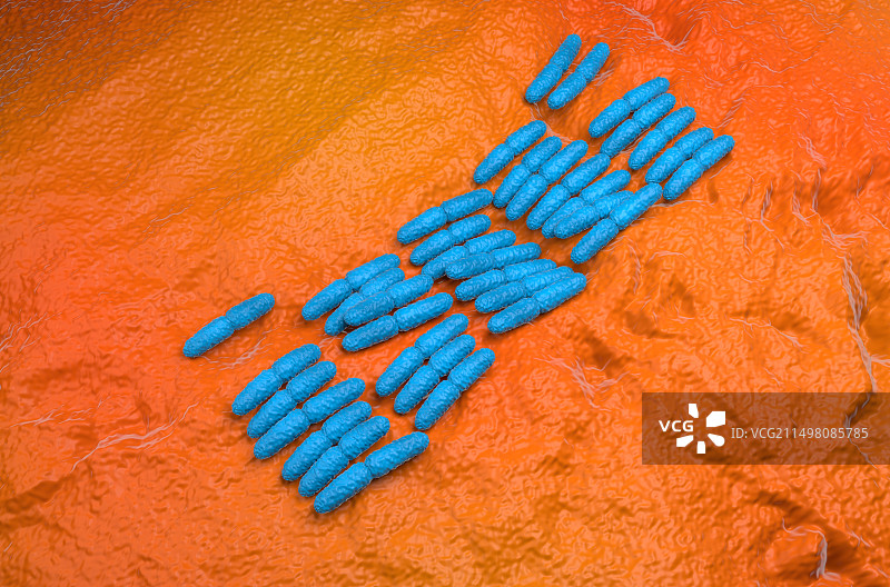 铜绿假单胞菌细菌，图示图片素材