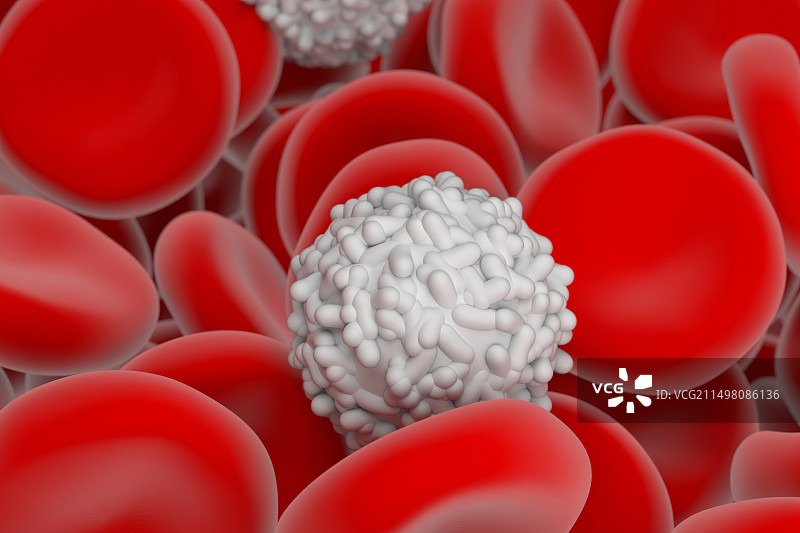 红白血细胞插画图片素材