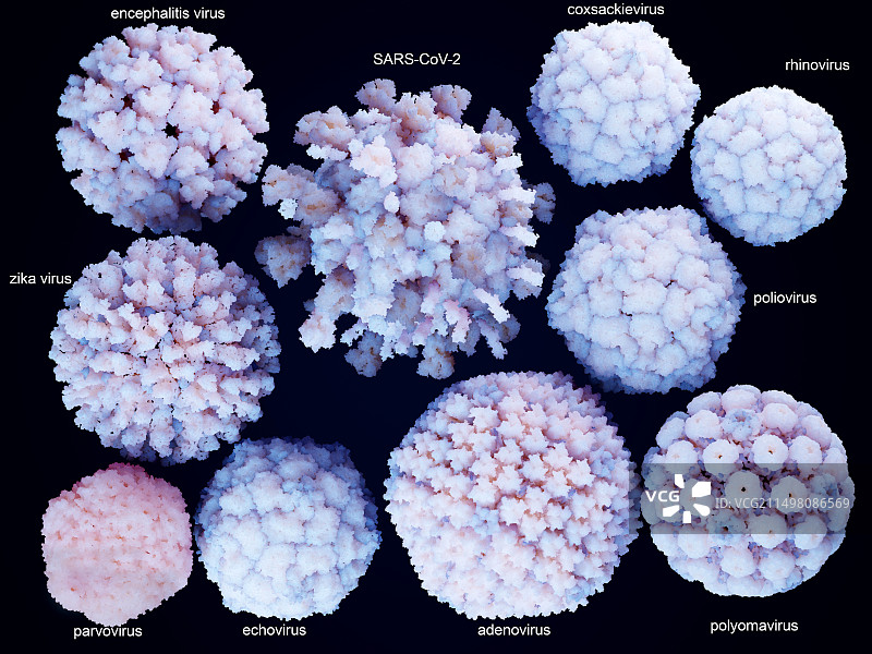 感染人类的病毒，图示图片素材
