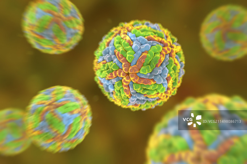 登革热病毒图示图片素材