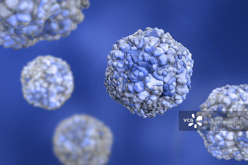 埃可病毒，图示图片素材