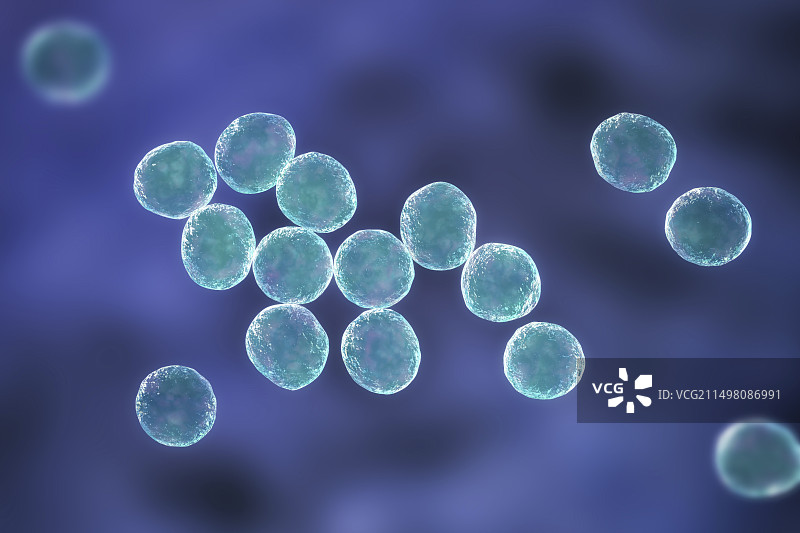 葡萄球菌细菌图图片素材