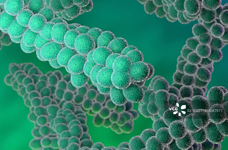 链球菌细菌示意图图片素材