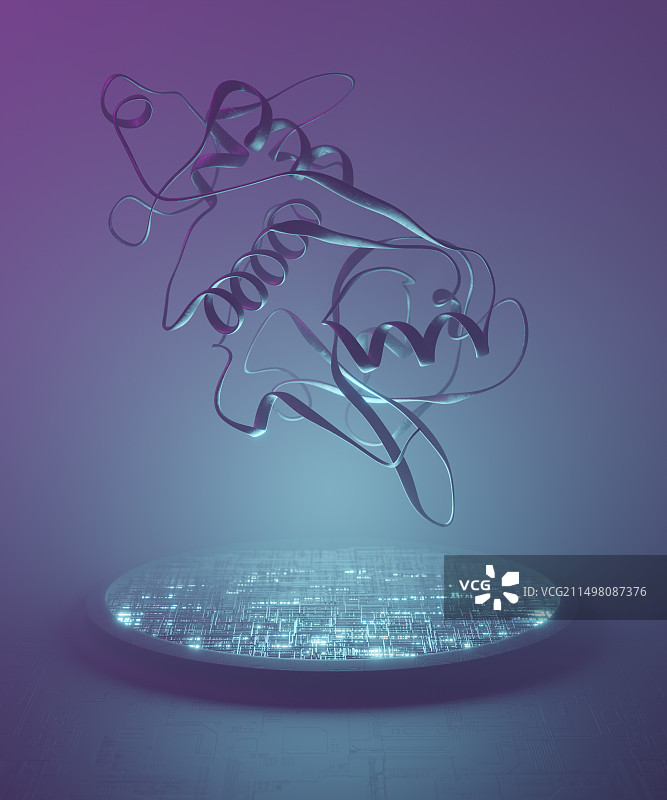 猕猴桃碱蛋白插画图片素材