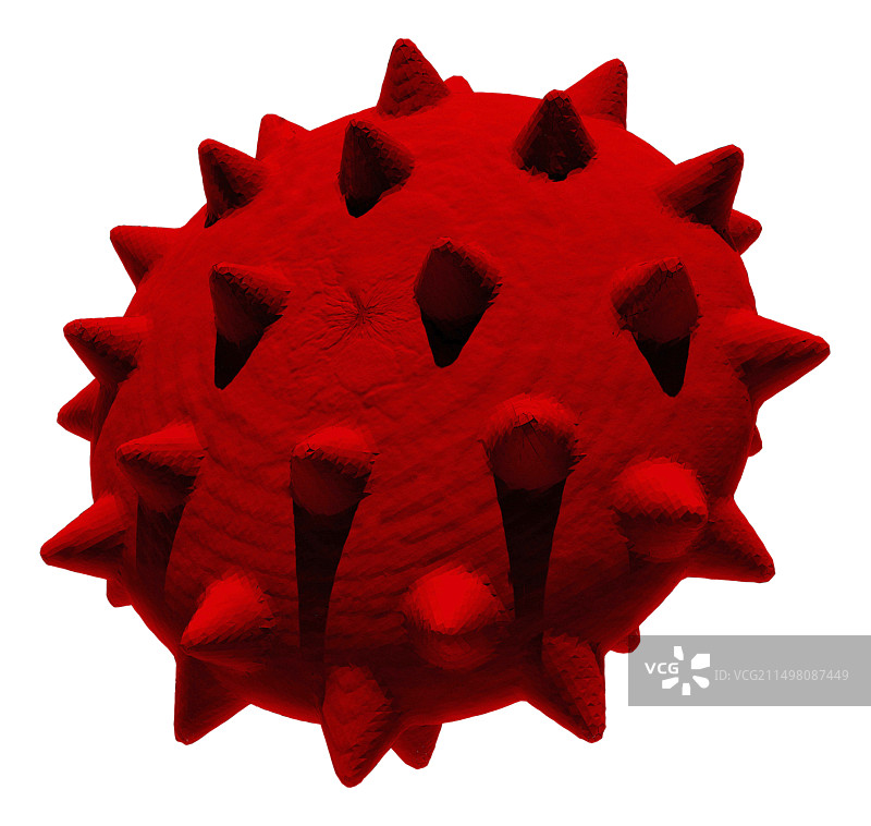 棘细胞异常红细胞图图片素材