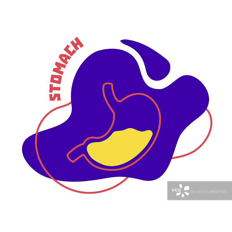 人体胃部概念图图片素材
