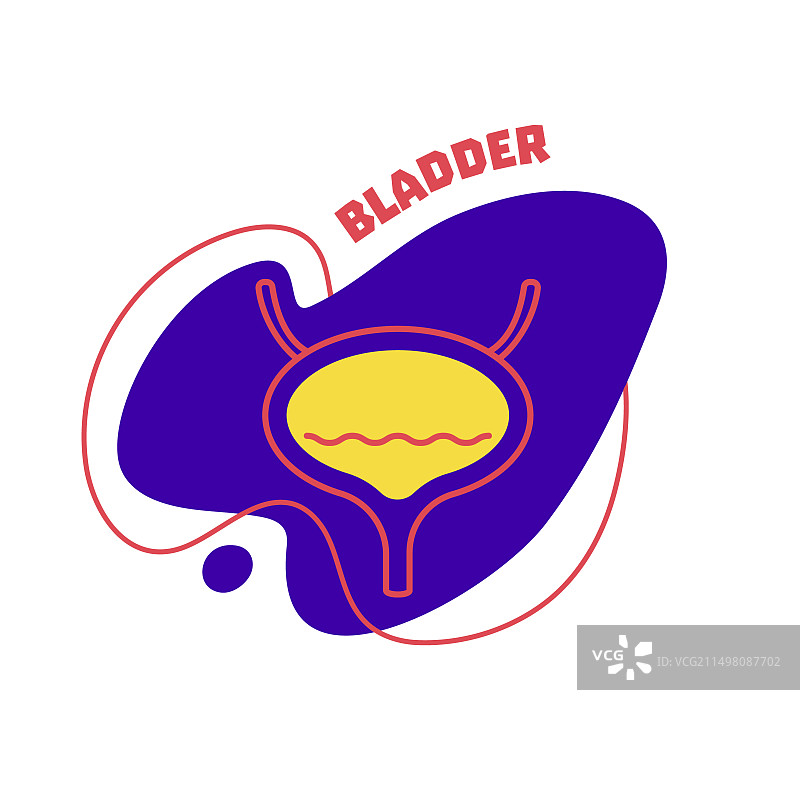 人体膀胱概念插画图片素材