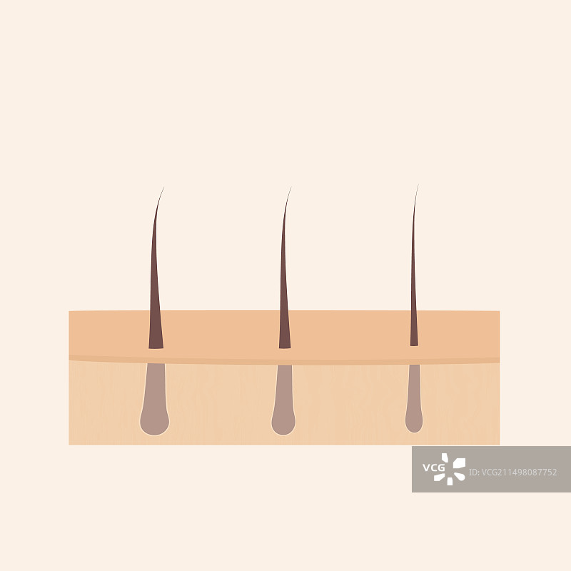 人类头发概念图图片素材