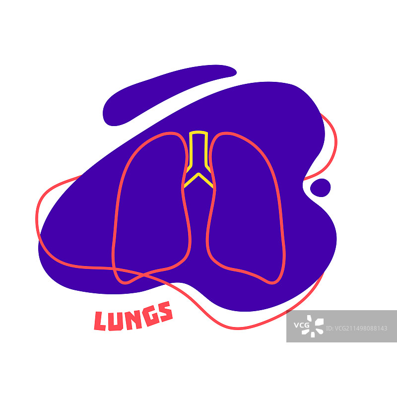 肺部概念图图片素材