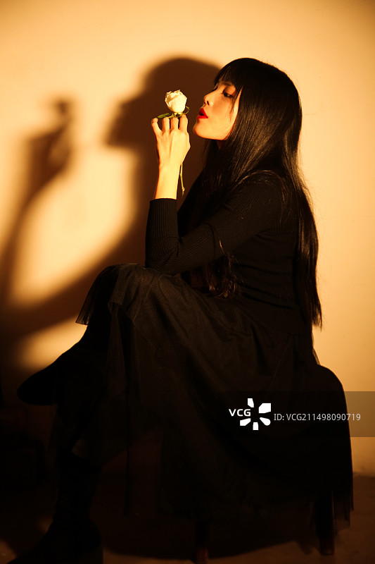 给我来一根白玫瑰图片素材