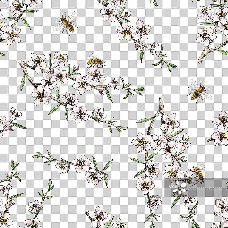 野生麦卢卡花和蜜蜂无缝图案图片素材