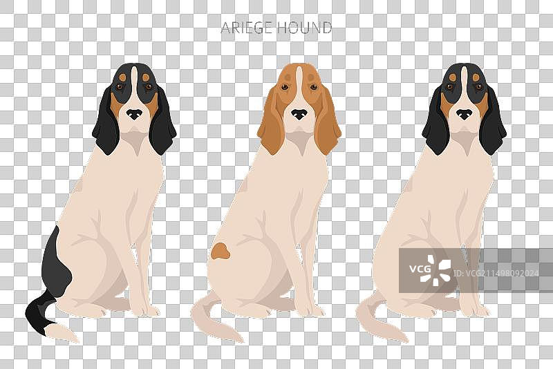 各种姿势和毛色的阿里埃日猎犬剪贴画图片素材