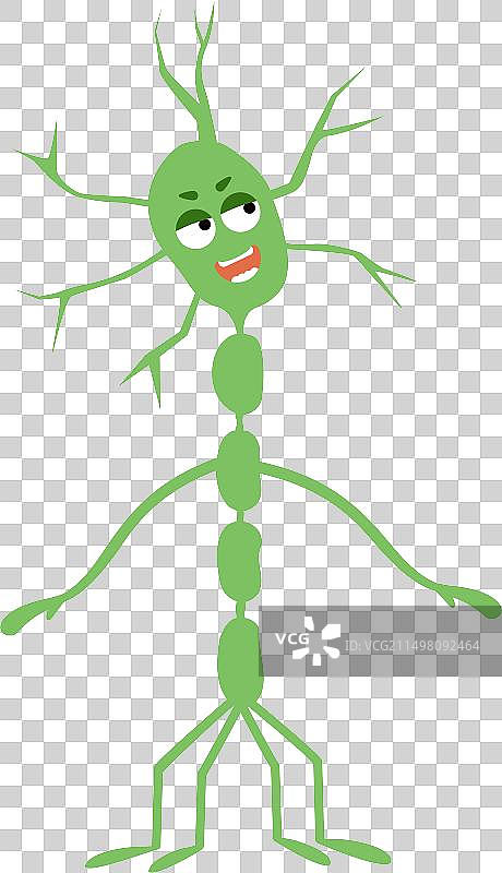 树突细胞图片素材