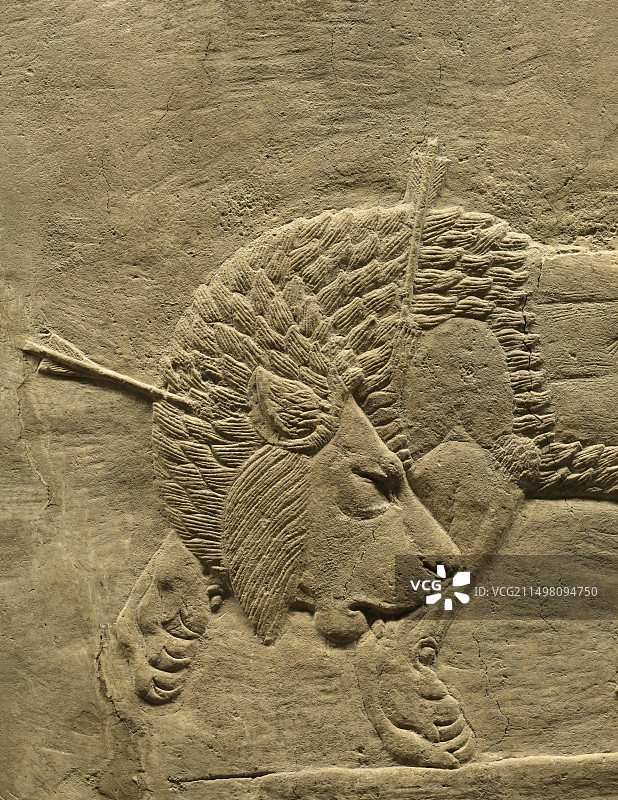 亚述猎狮图图片素材