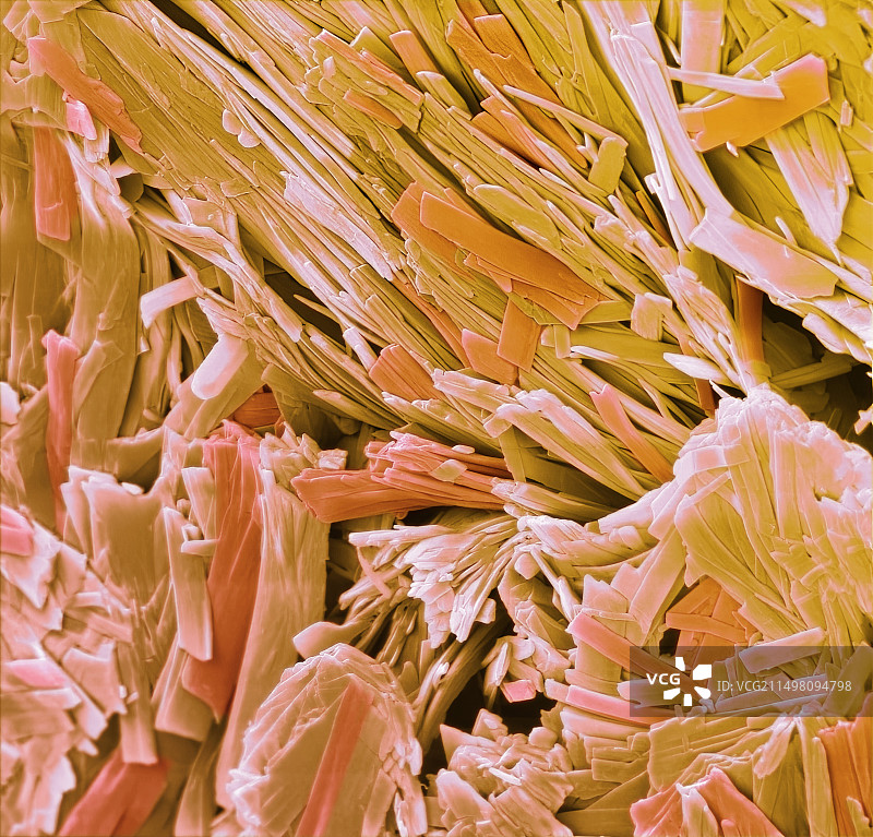 抗生素晶体，扫描电子显微镜图片素材