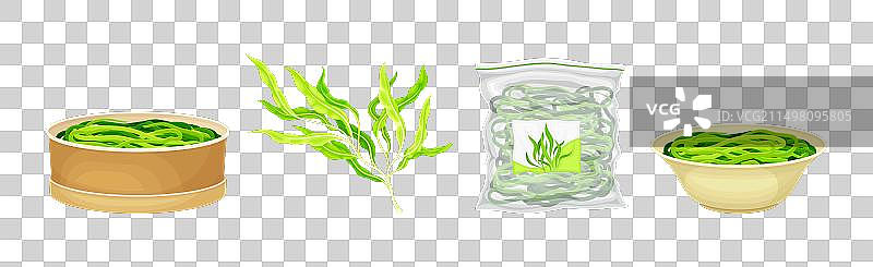 羊栖菜海藻植物组合图片素材