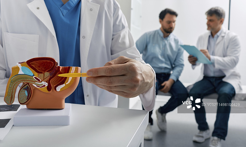 泌尿学概念图图片素材