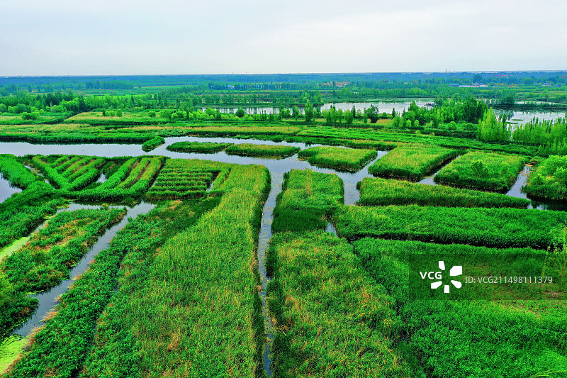 河北省雄安安新县风光美如画郭里口村图片素材