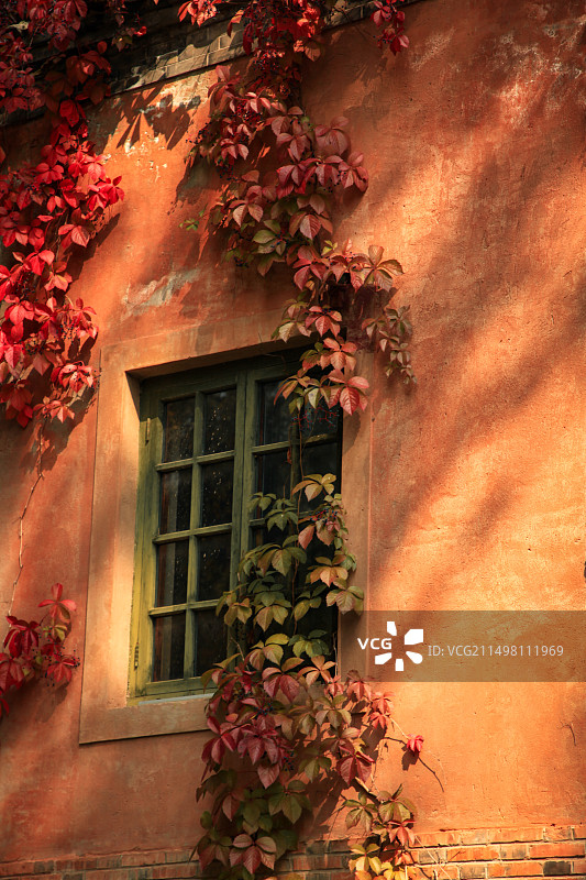 墙上的黄昏图片素材