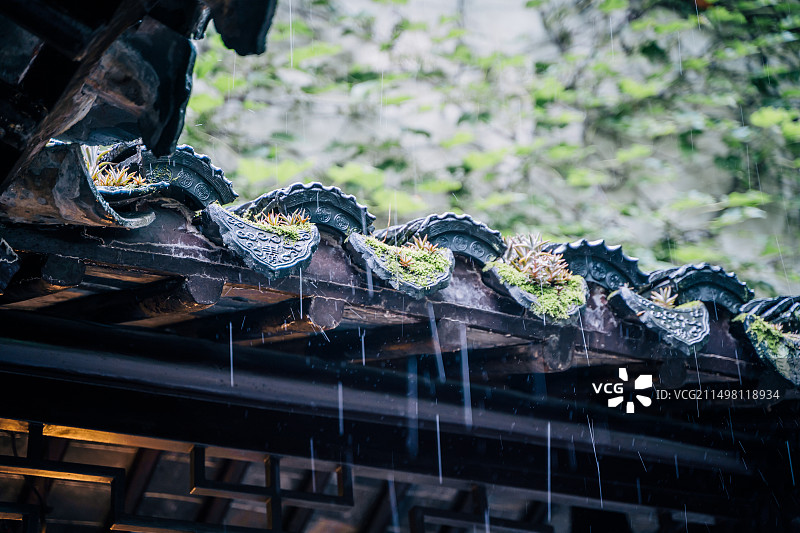 雨天 园林图片素材