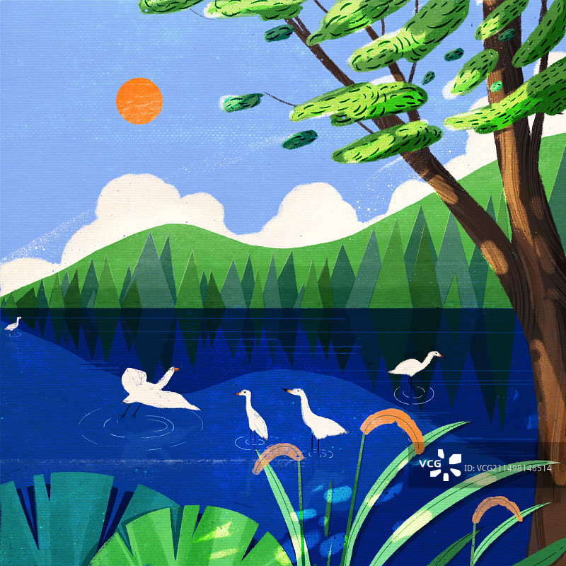 绿水青山白鹭栖息地图片素材