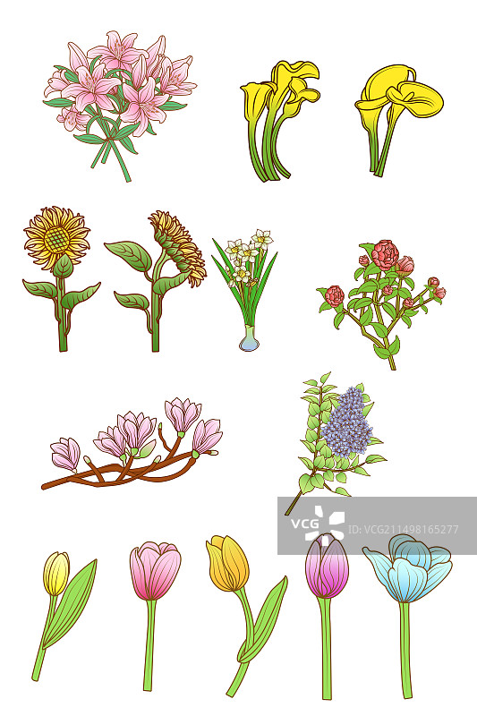 花朵合集春天植物花朵图片素材