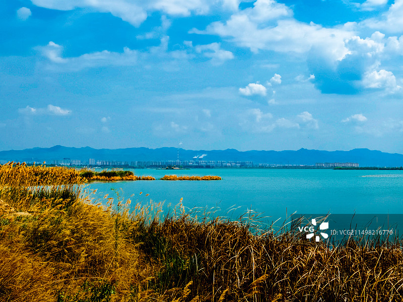 美丽的南海湿地风景美如画图片素材