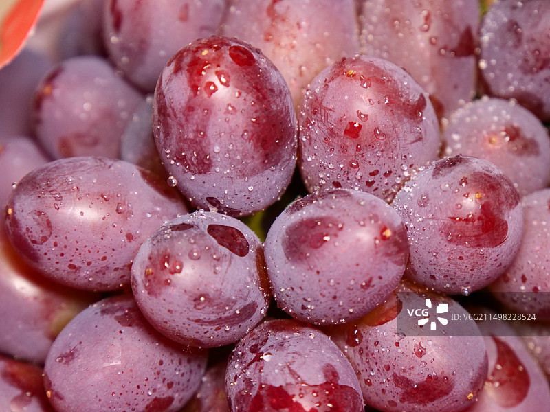 茉莉香葡萄图片素材