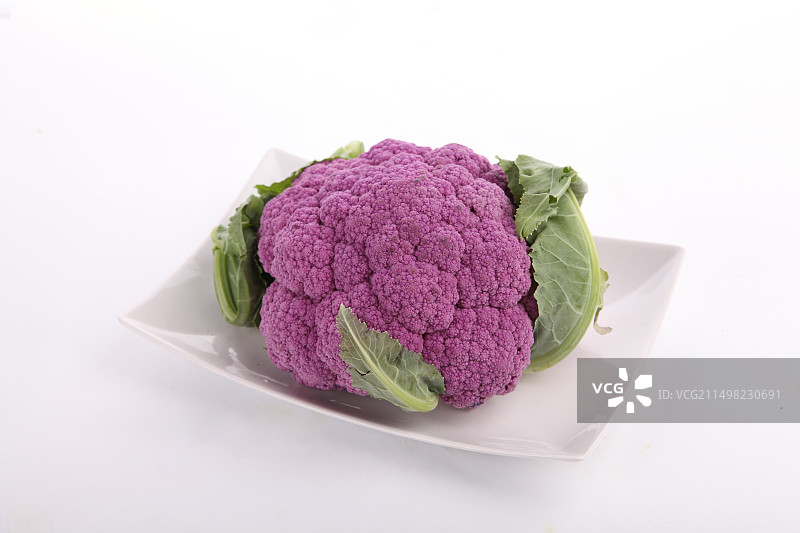 紫菜花白底图图片素材