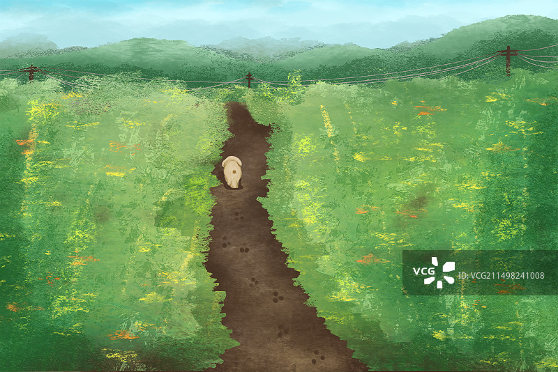 乡村小路图片素材